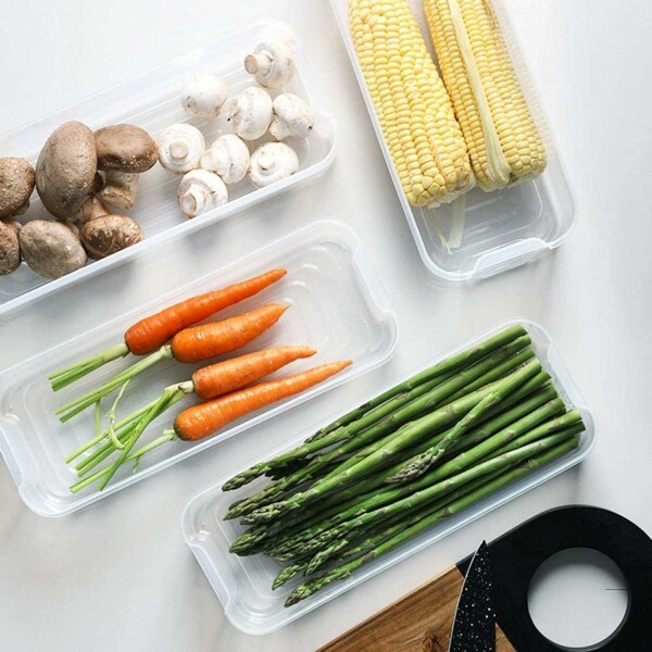 Fridge Food Storage Containers