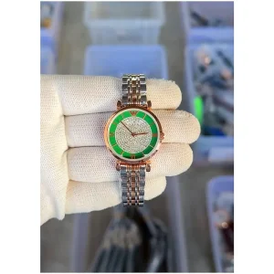 Emporio Armani Watch Classic For Women (SW293)