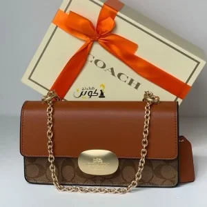 Stylish Coach Eliza Sling Bag Brown For Women (BOT164)