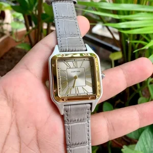 Imported Cartier Watch Silver Gold Grey For Men (BOT148)
