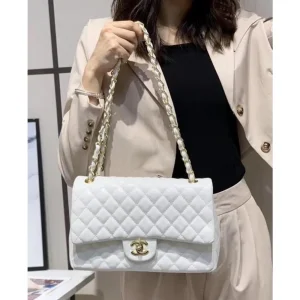 Chanel Handbag For Women (SUP2042)