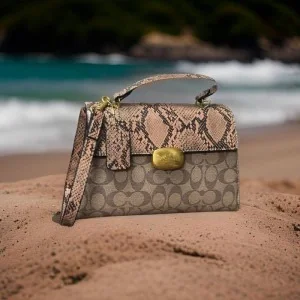 Coach Handbag For Women (SUP2367)