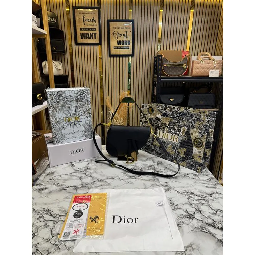 224 Christian Dior Saddle Bag