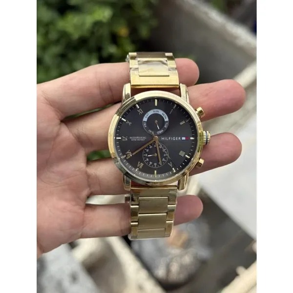 Tommy Hilfiger Watch