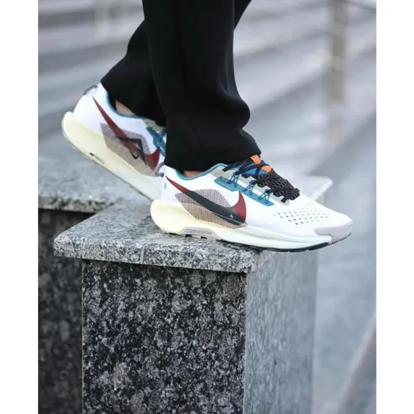 Nike Pegasus Trail