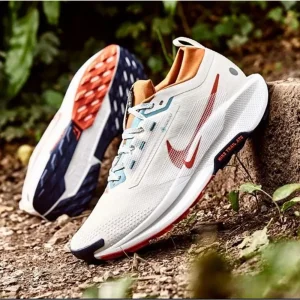 Nike Pegasus Trail