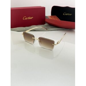 Cartier Sunglasses Gold Brown (FT2093)
