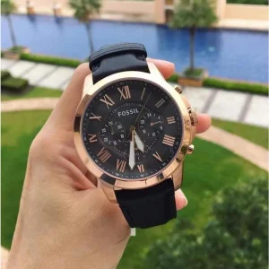 Fossil Grant Watch