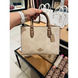 Coach Small Tote Bag