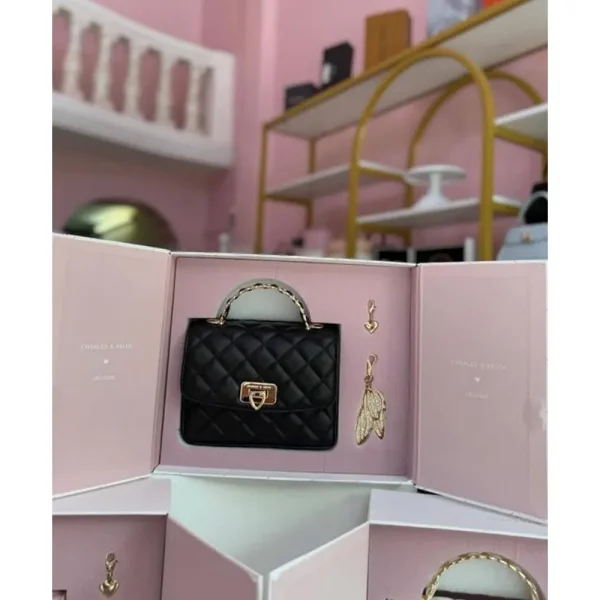 Charles & Keith Hobo Bag